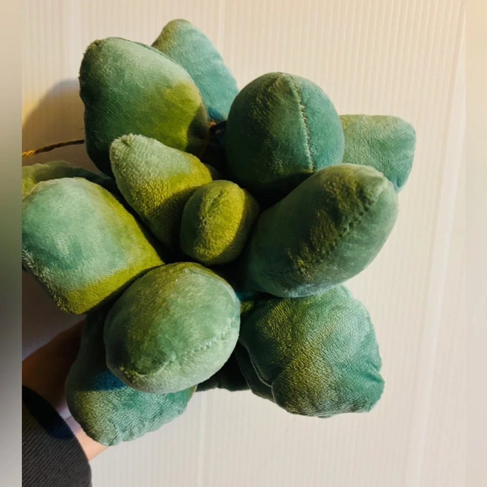 “Cute Green Succulent Plant Plush Pillow Decor Soft Stuffed Plant NEW”